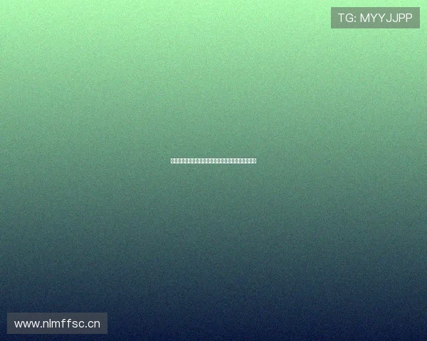 星速浏览官方下载最新版高速安全浏览器一键下载体验